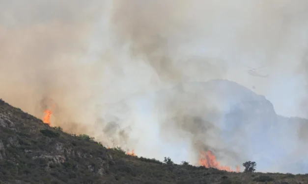Controlado el incendio en las cuestas del Cedacero en Cartagena