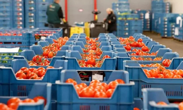Los agricultores murcianos explotan por el acuerdo entre Marruecos y la UE