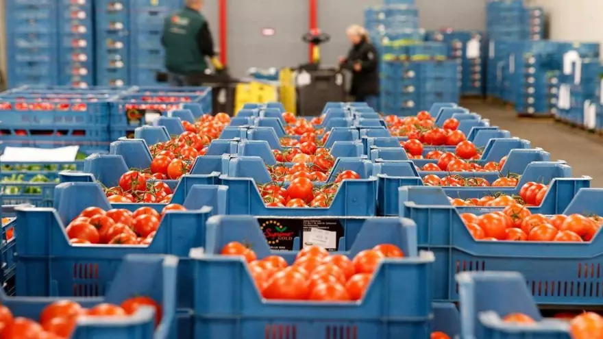 Los agricultores murcianos explotan por el acuerdo entre Marruecos y la UE