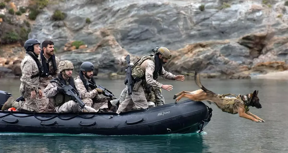 Los perros de la Fuerza de Protección de la Armada entrenan en Cartagena