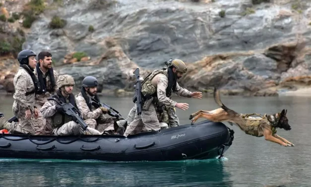 Los perros de la Fuerza de Protección de la Armada entrenan en Cartagena