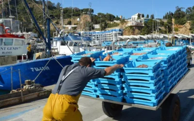 Los pescadores del Mediterráneo logran una prórroga y podrán faenar 13 días más este año