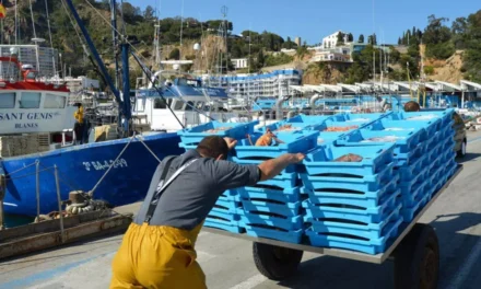Los pescadores del Mediterráneo logran una prórroga y podrán faenar 13 días más este año