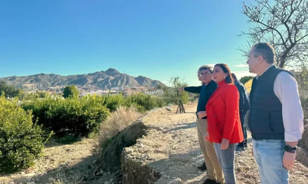 El temporal deja cuatro millones de euros en daños en el campo murciano, según una primera estimación