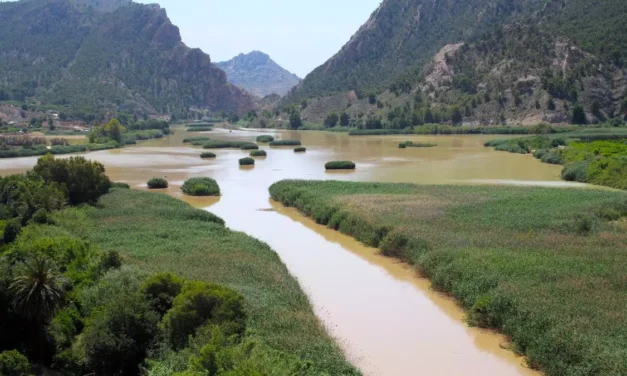 Solo el 39% de las masas de agua del Segura están en buen estado