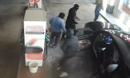 Cae una peligrosa banda que cometió más de 50 robos en gasolineras y viviendas de Murcia