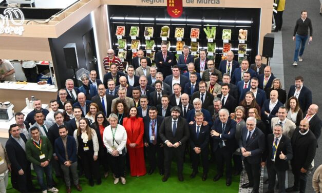 El mercado alemán se reafirmó el pasado año como principal destino de las exportaciones hortofrutícolas de la Región con más de 1.080 millones de euros