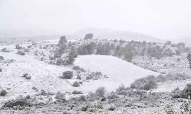 Vuelve la nieve a la Región de Murcia: la Aemet activa la alerta amarilla para este viernes