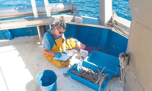 Mover la pesca y coordinar el litoral para proteger tiburones y rayas