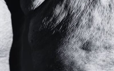 El cuerpo como territorio de resistencia: la artista Ana H. Reyero expone ‘Piel Indómita’ en Mazarrón