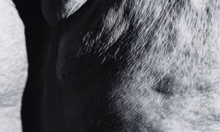 El cuerpo como territorio de resistencia: la artista Ana H. Reyero expone ‘Piel Indómita’ en Mazarrón