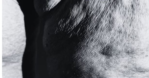 El cuerpo como territorio de resistencia: la artista Ana H. Reyero expone ‘Piel Indómita’ en Mazarrón