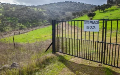 Mas de mil cotos de la Región de Murcia se verán beneficiados por la decisión de la Comunidad Autónoma de Murcia de eliminar las tasas que se cobran a los cazadores.