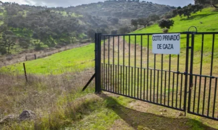 Mas de mil cotos de la Región de Murcia se verán beneficiados por la decisión de la Comunidad Autónoma de Murcia de eliminar las tasas que se cobran a los cazadores.