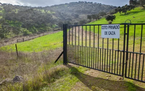 Mas de mil cotos de la Región de Murcia se verán beneficiados por la decisión de la Comunidad Autónoma de Murcia de eliminar las tasas que se cobran a los cazadores.