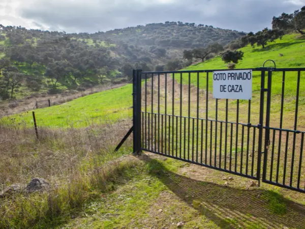Mas de mil cotos de la Región de Murcia se verán beneficiados por la decisión de la Comunidad Autónoma de Murcia de eliminar las tasas que se cobran a los cazadores.