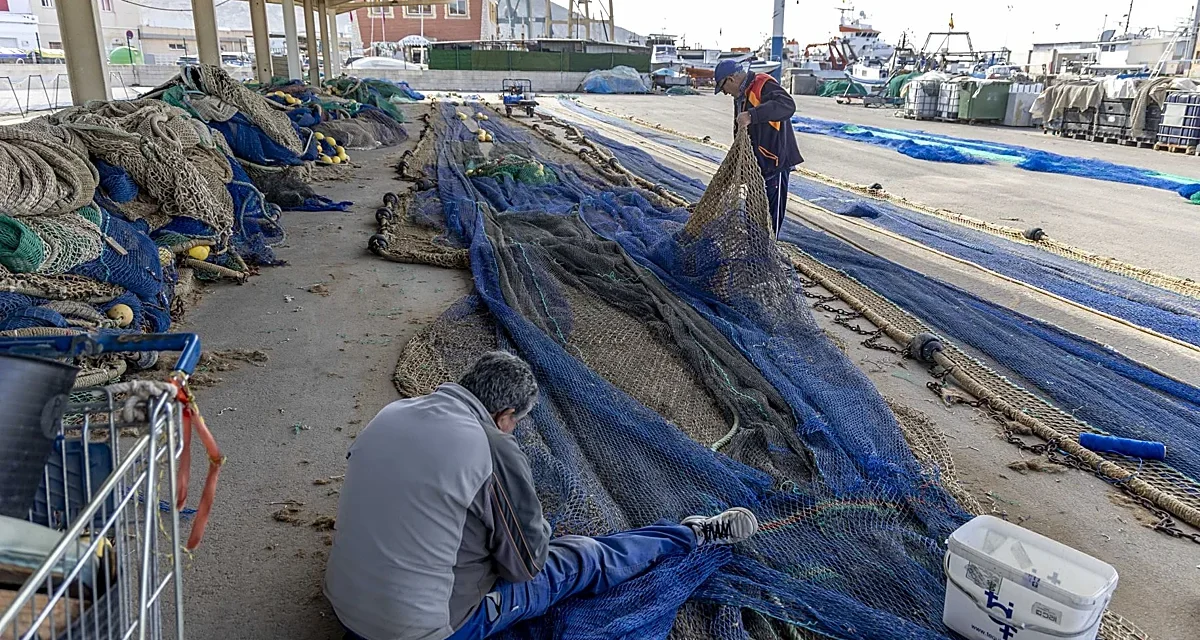 Nueva evaluación a los caladeros de la Región de Murcia tras los últimos cambios en la flota de arrastre