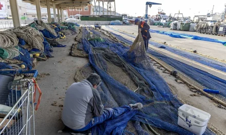 Nueva evaluación a los caladeros de la Región de Murcia tras los últimos cambios en la flota de arrastre