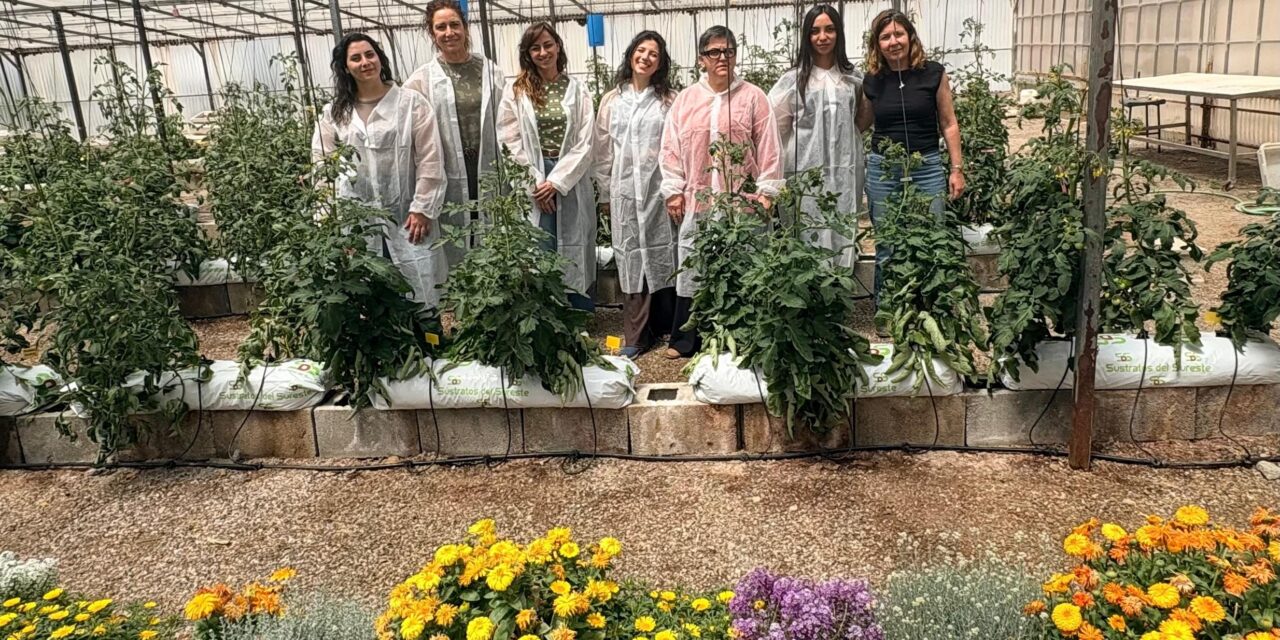 Un proyecto del CEBAS-CSIC permitirá recuperar variedades tradicionales de tomate frente al cambio climático