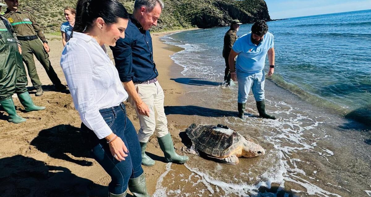 La ‘Mochila de actividades’ oferta ocho iniciativas para conocer y proteger las tortugas marinas