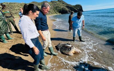 La ‘Mochila de actividades’ oferta ocho iniciativas para conocer y proteger las tortugas marinas