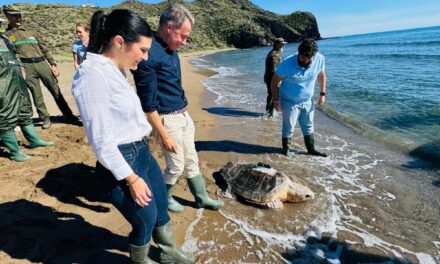 La ‘Mochila de actividades’ oferta ocho iniciativas para conocer y proteger las tortugas marinas