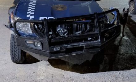 Efectivos de Policía Local Mazarrón detuvieron el pasado martes a un individuo por la presunta comisión de varios delitos al desobedecer las órdenes de los agentes,