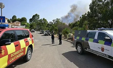 El Seprona sigue la pista a un coche por su posible relación con el incendio de La Azohía