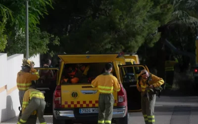El incendio del Palmeral de San Ginés de La Azohía en Cartagena se salda con unas tres hectáreas calcinadas