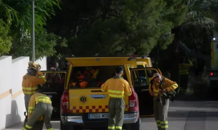El incendio del Palmeral de San Ginés de La Azohía en Cartagena se salda con unas tres hectáreas calcinadas