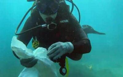 Por toda la costa regional, más de 500 voluntarios participaron ayer en la V Macro Limpieza de Fondos Marinos de la Región de Murcia