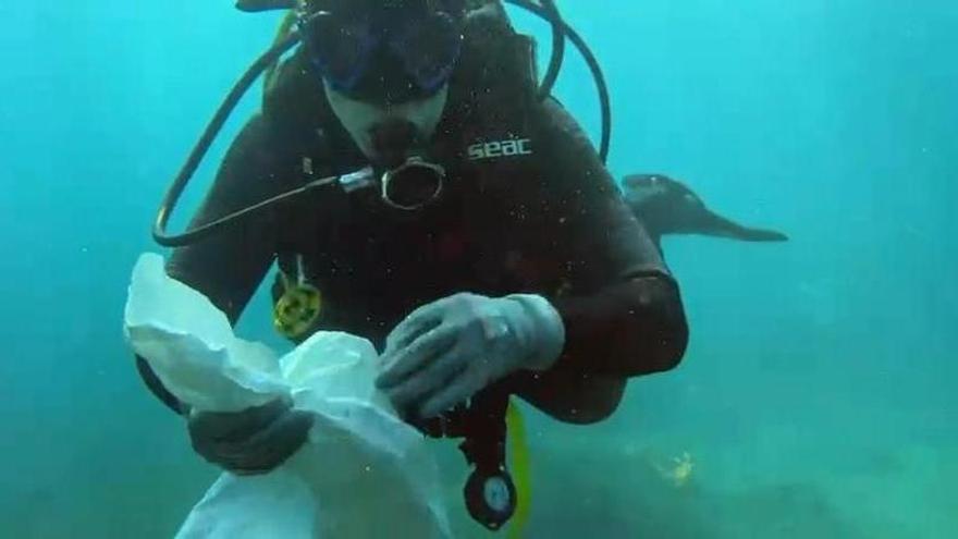 Por toda la costa regional, más de 500 voluntarios participaron ayer en la V Macro Limpieza de Fondos Marinos de la Región de Murcia