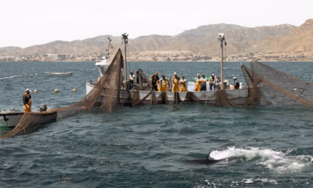 Cultura facilita el rodaje en la Región de la coproducción hispanoportuguesa ‘Stella Maris’, un relato marinero de vocación universal, parte de su rodaje durante la pasada semana en la playa del Parque regional de Calblanque y en la Almadraba de La Azohía