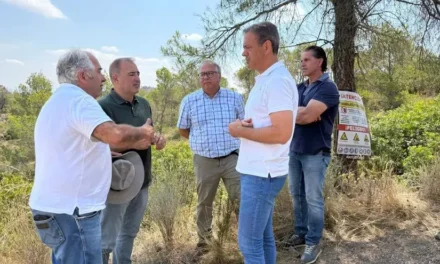 El monte no arde por una chispa, sino por décadas de abandono y falta de gestión