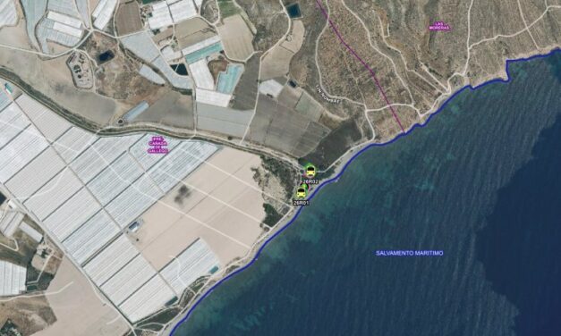 Movilizado operativo del Plan Infomur para apagar un conato de incendio forestal en Cañada Gallego