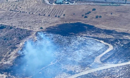 Sofocan dos incendios declarados en las inmediaciones de la urbanización Camposol de Mazarrón