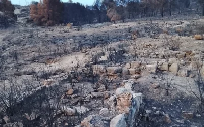 El fuego se ceba con el yacimiento romano de la Fuente de la Pinilla, en Mazarrón
