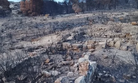 El fuego se ceba con el yacimiento romano de la Fuente de la Pinilla, en Mazarrón