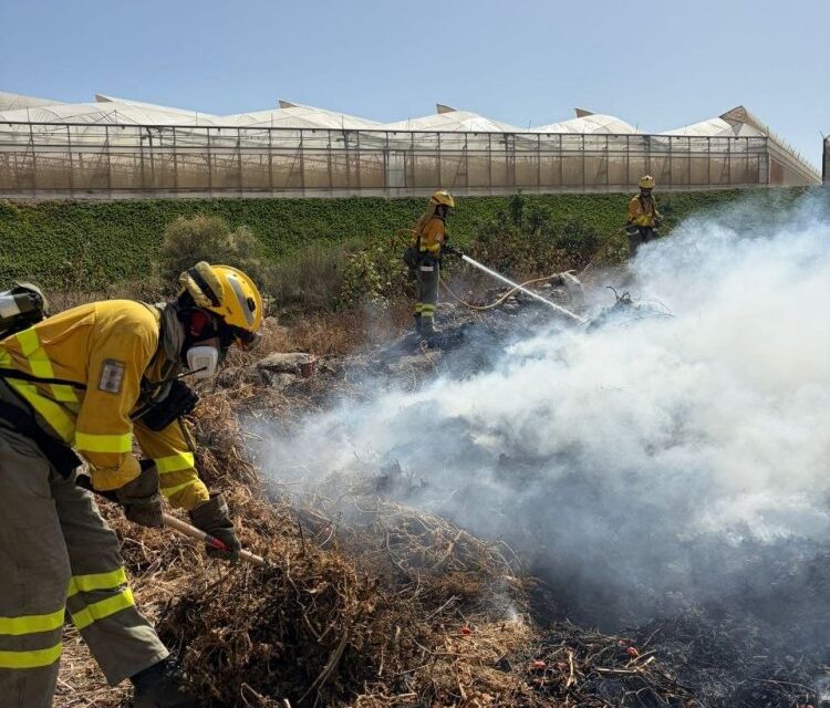 Servicios de emergencia extinguen quema descontrolada en Cañada Gallego