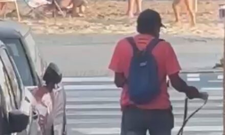 Detenido por robos en coches en municipios costeros