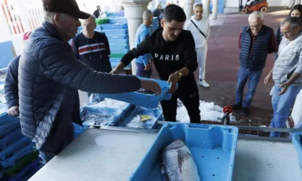Murcia y otras cuatro comunidades piden a Bruselas cambiar las reglas de la pesca de arrastre en el Mediterráneo