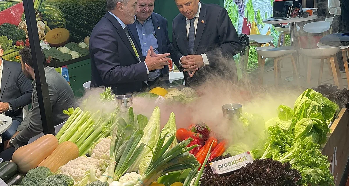 Proexport pide al ministro Planas que presione en Europa para limitar las exportaciones marroquíes desde el Sáhara