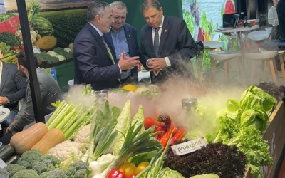 Proexport pide al ministro Planas que presione en Europa para limitar las exportaciones marroquíes desde el Sáhara