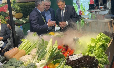 Proexport pide al ministro Planas que presione en Europa para limitar las exportaciones marroquíes desde el Sáhara