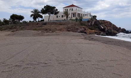Cultura allana el camino para salvar de la pala Casa Nares de Mazarrón