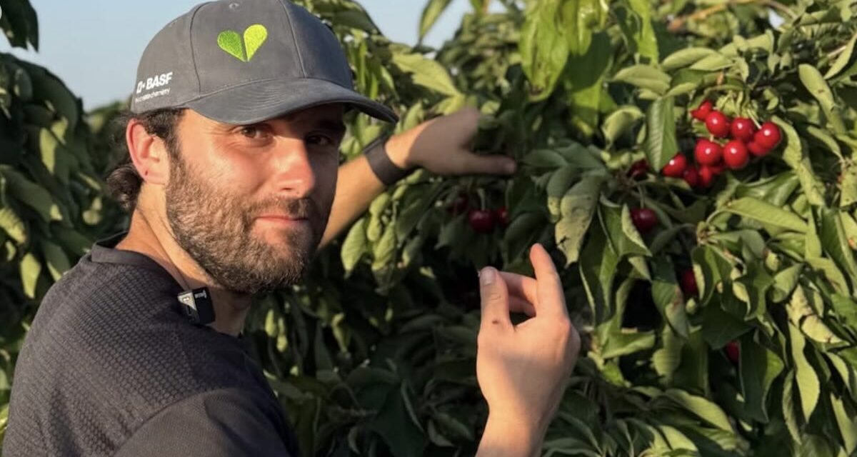 Alberto, joven agricultor: «Hay empresas van a Marruecos a cultivar, le pagan con un bocadillo al trabajador y lo traen aquí»