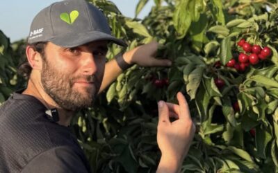 Alberto, joven agricultor: «Hay empresas van a Marruecos a cultivar, le pagan con un bocadillo al trabajador y lo traen aquí»