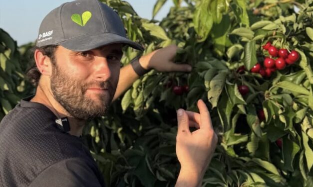 Alberto, joven agricultor: «Hay empresas van a Marruecos a cultivar, le pagan con un bocadillo al trabajador y lo traen aquí»