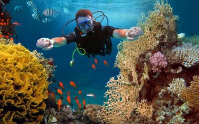 Mazarrón reivindica sus fondos marinos como uno de los grandes atractivos para el buceo en la Región