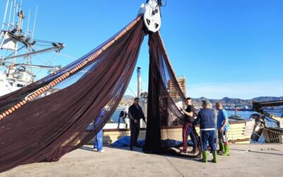 Cinco empresas presentan ofertas para ejecutar la renovación del varadero del puerto pesquero de Mazarrón